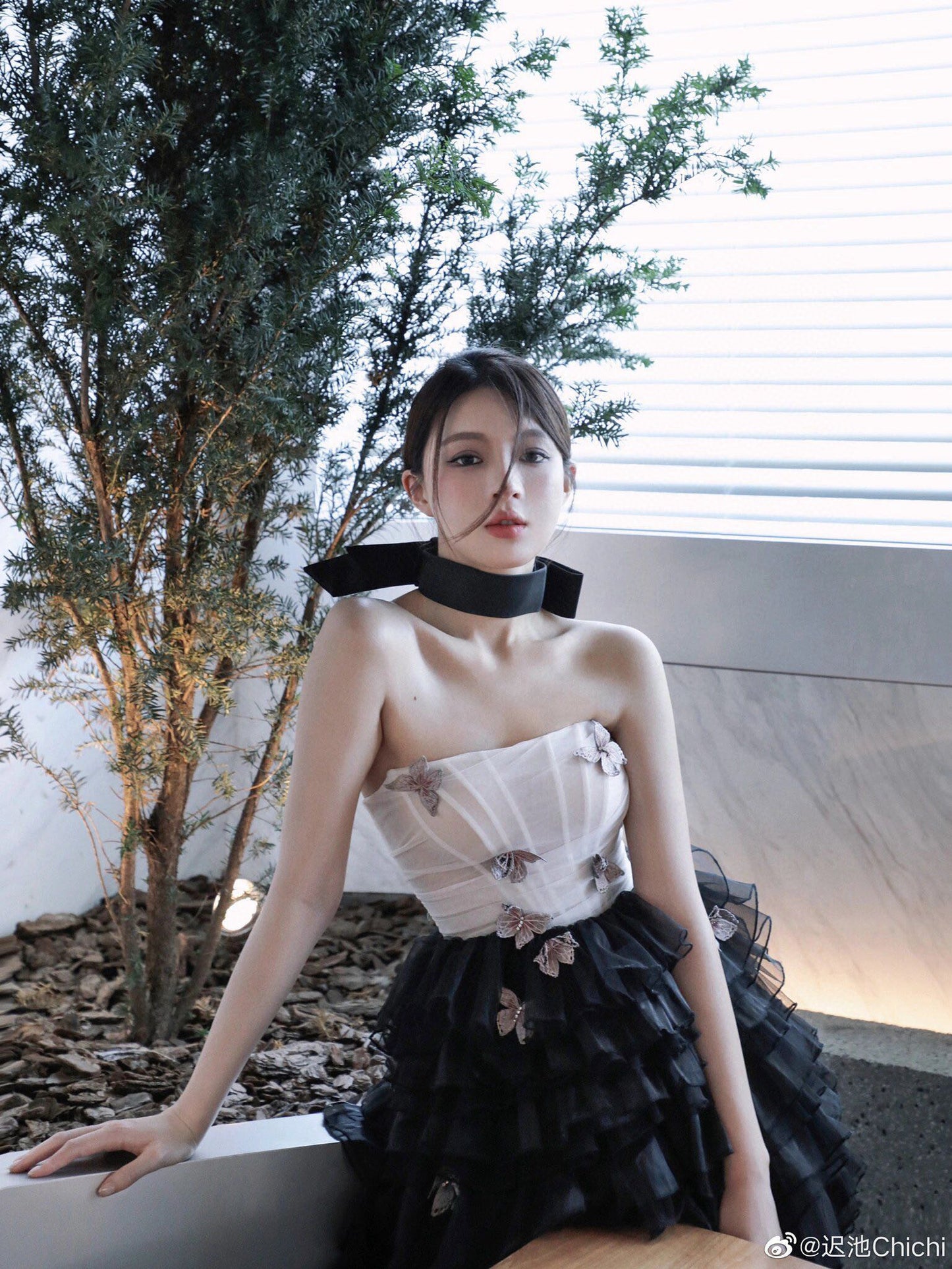 Butterfly Poem Embroidered Corset Strapless Dress