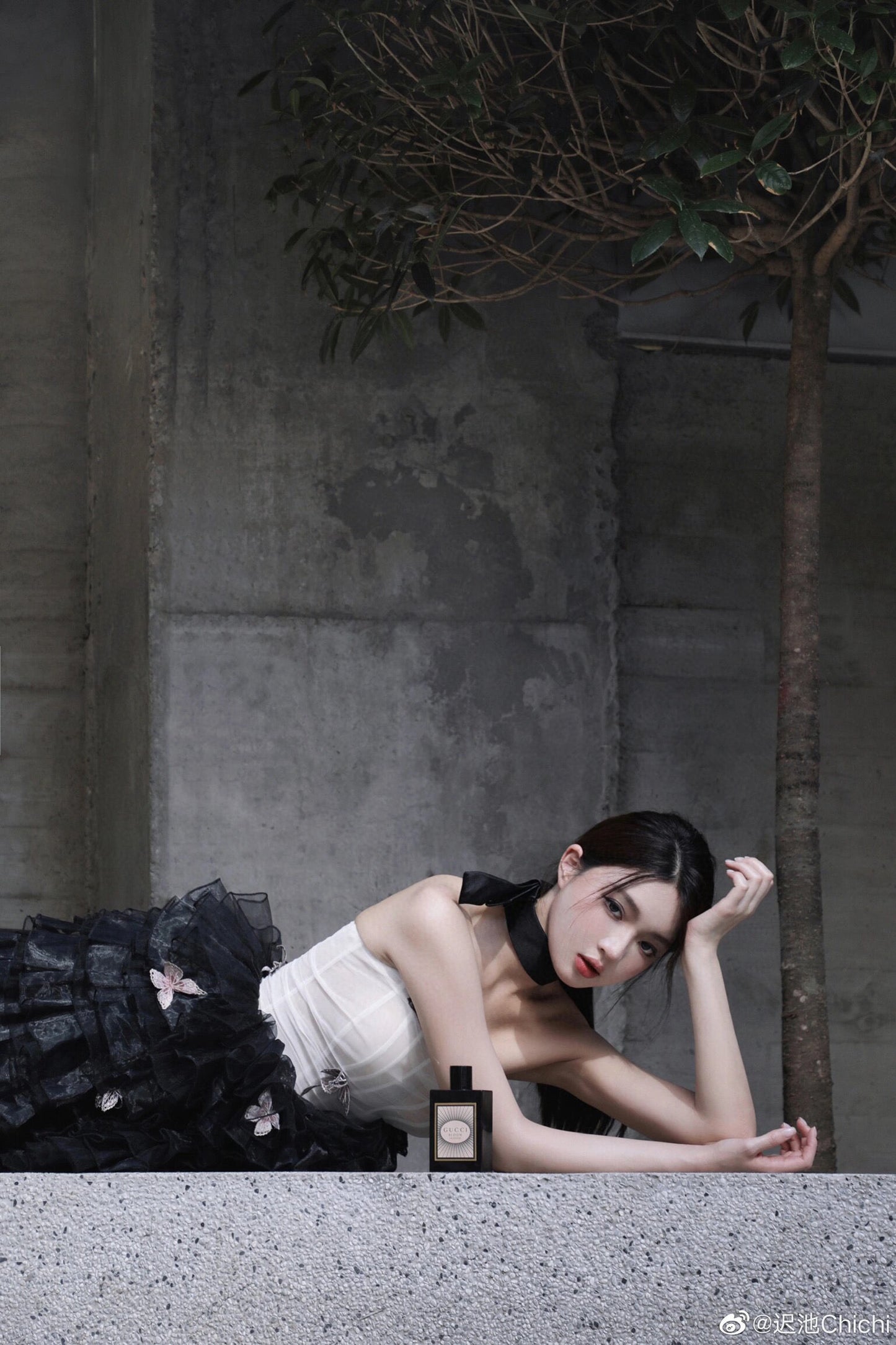 Butterfly Poem Embroidered Corset Strapless Dress