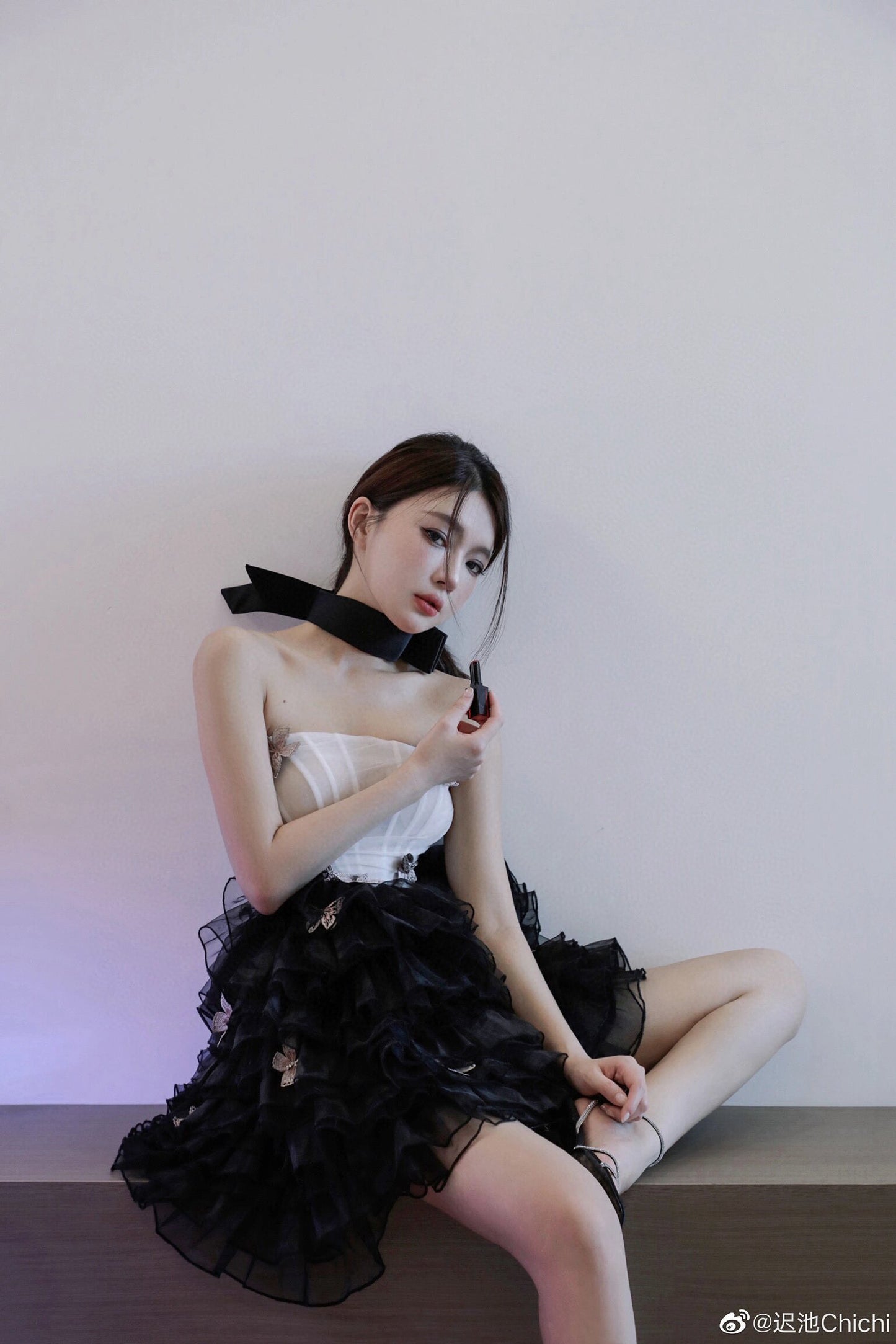 Butterfly Poem Embroidered Corset Strapless Dress