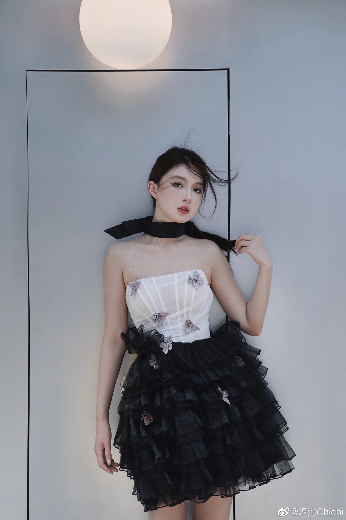 Butterfly Poem Embroidered Corset Strapless Dress