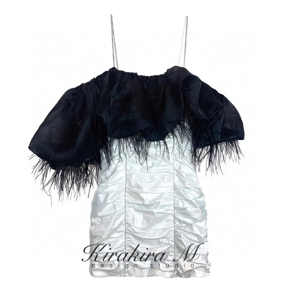 Black Feather Silver Dress